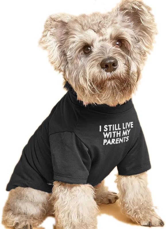 Breathable Dog T-Shirt – Cute Pet Clothes for Small & Medium Dogs (S–XXL, Multiple Colors)