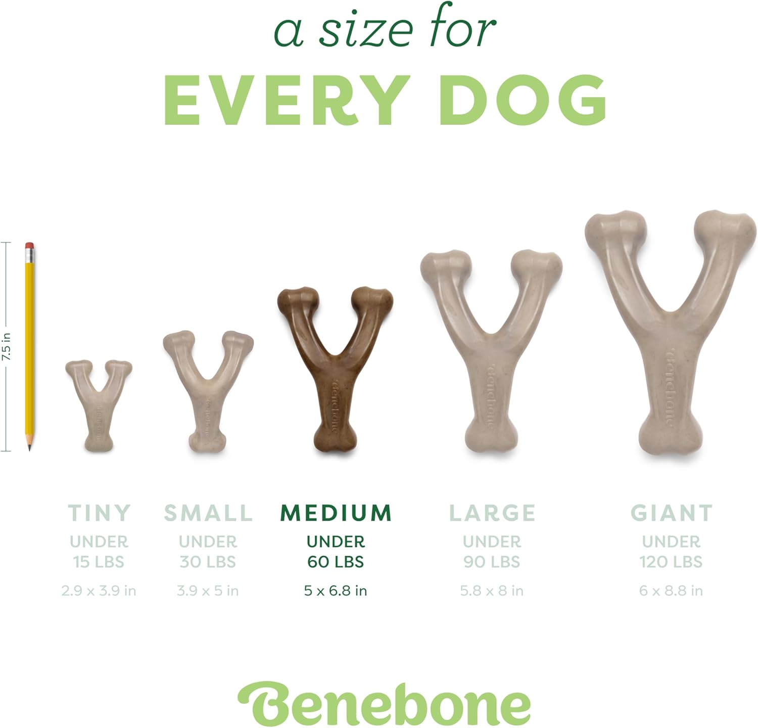 Benebone Variety Pack Dog Chew Toys – Durable Wishbone Bones for Aggressive Chewers (Medium, 3-Pack, USA Made)