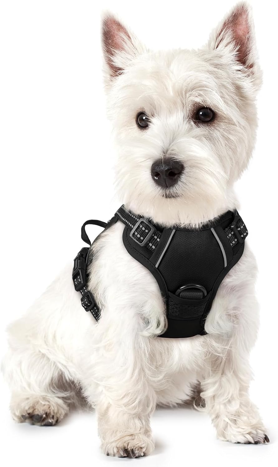 No-Pull Dog Harness – Adjustable Reflective Vest (Black)