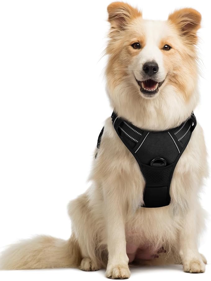 No-Pull Dog Harness – Adjustable Reflective Vest (Black)