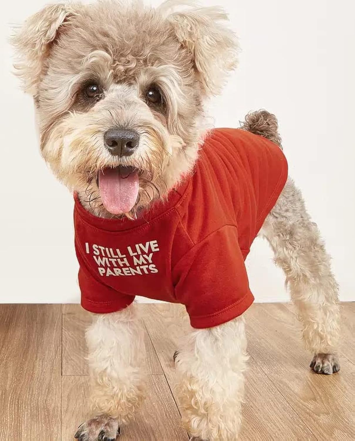 Breathable Dog T-Shirt – Cute Pet Clothes for Small & Medium Dogs (S–XXL, Multiple Colors)