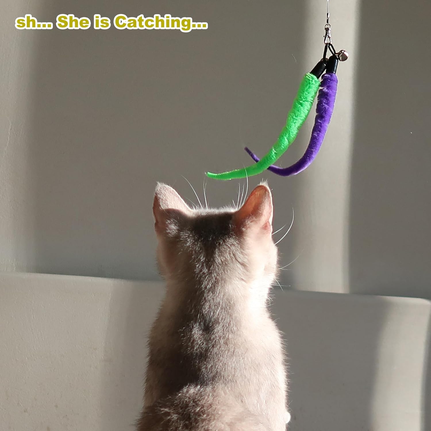 Interactive Cat Wand Toy with Feather Refills – Retractable Chase & Exercise Play for Indoor Cats