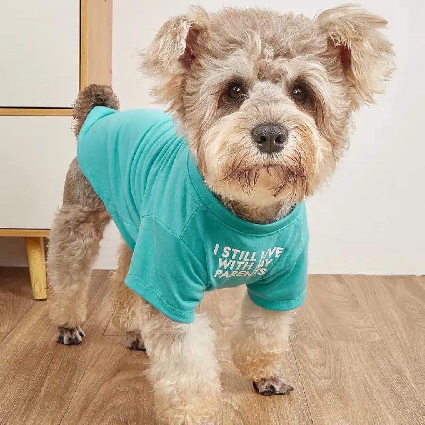 Breathable Dog T-Shirt – Cute Pet Clothes for Small & Medium Dogs (S–XXL, Multiple Colors)