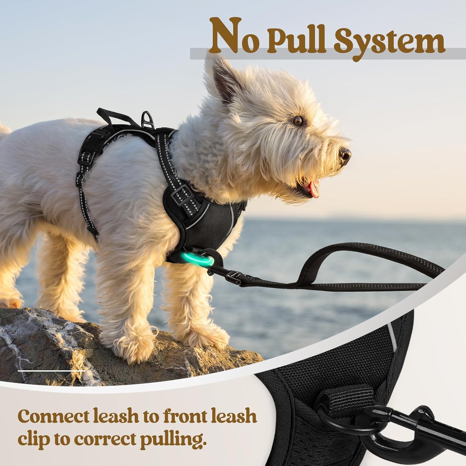 No-Pull Dog Harness – Adjustable Reflective Vest (Black)
