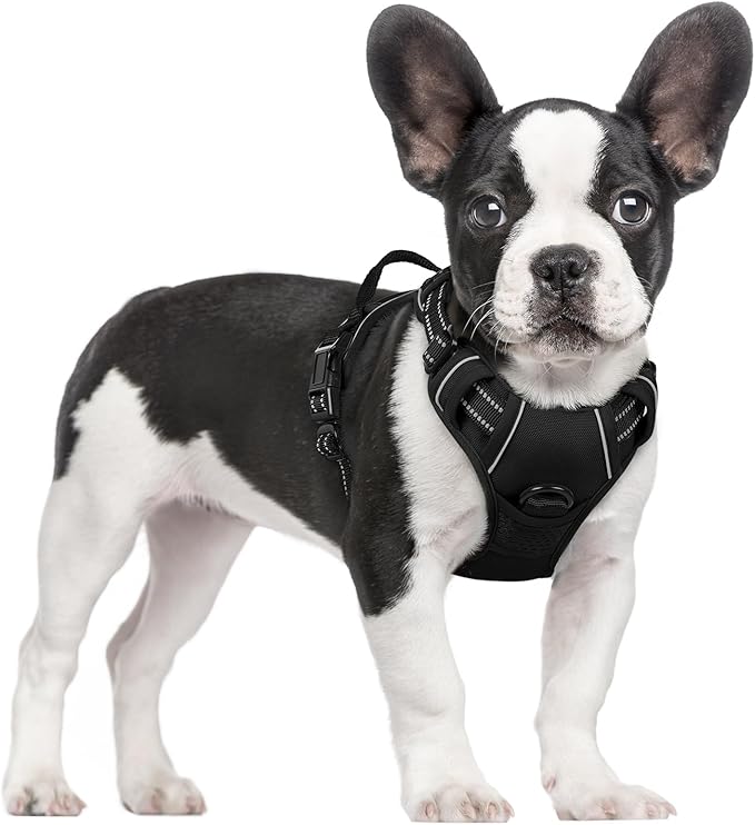 No-Pull Dog Harness – Adjustable Reflective Vest (Black)