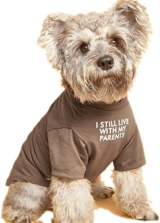 Breathable Dog T-Shirt – Cute Pet Clothes for Small & Medium Dogs (S–XXL, Multiple Colors)