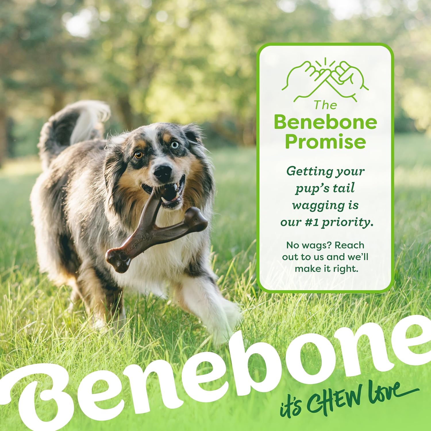 Benebone Variety Pack Dog Chew Toys – Durable Wishbone Bones for Aggressive Chewers (Medium, 3-Pack, USA Made)