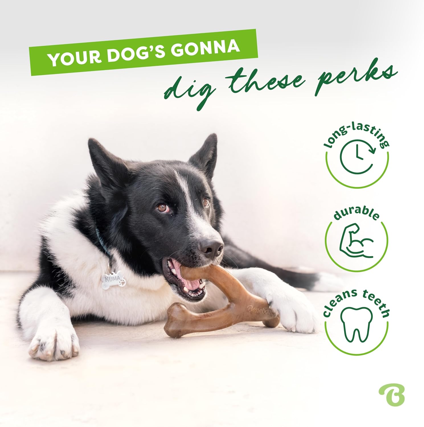 Benebone Variety Pack Dog Chew Toys – Durable Wishbone Bones for Aggressive Chewers (Medium, 3-Pack, USA Made)
