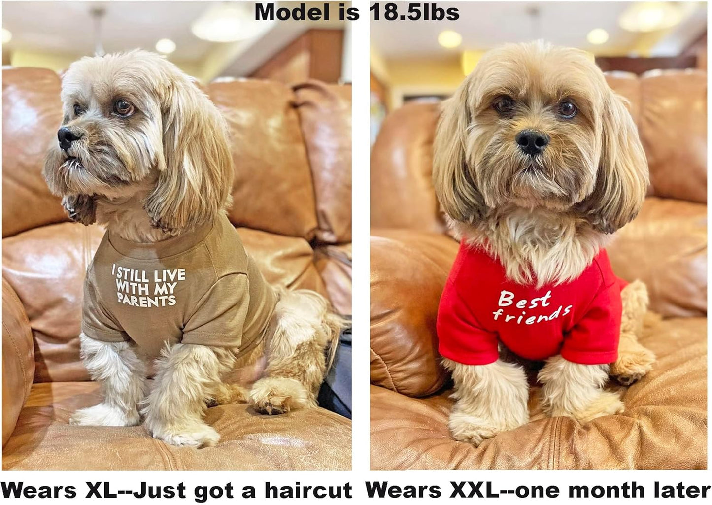 Breathable Dog T-Shirt – Cute Pet Clothes for Small & Medium Dogs (S–XXL, Multiple Colors)