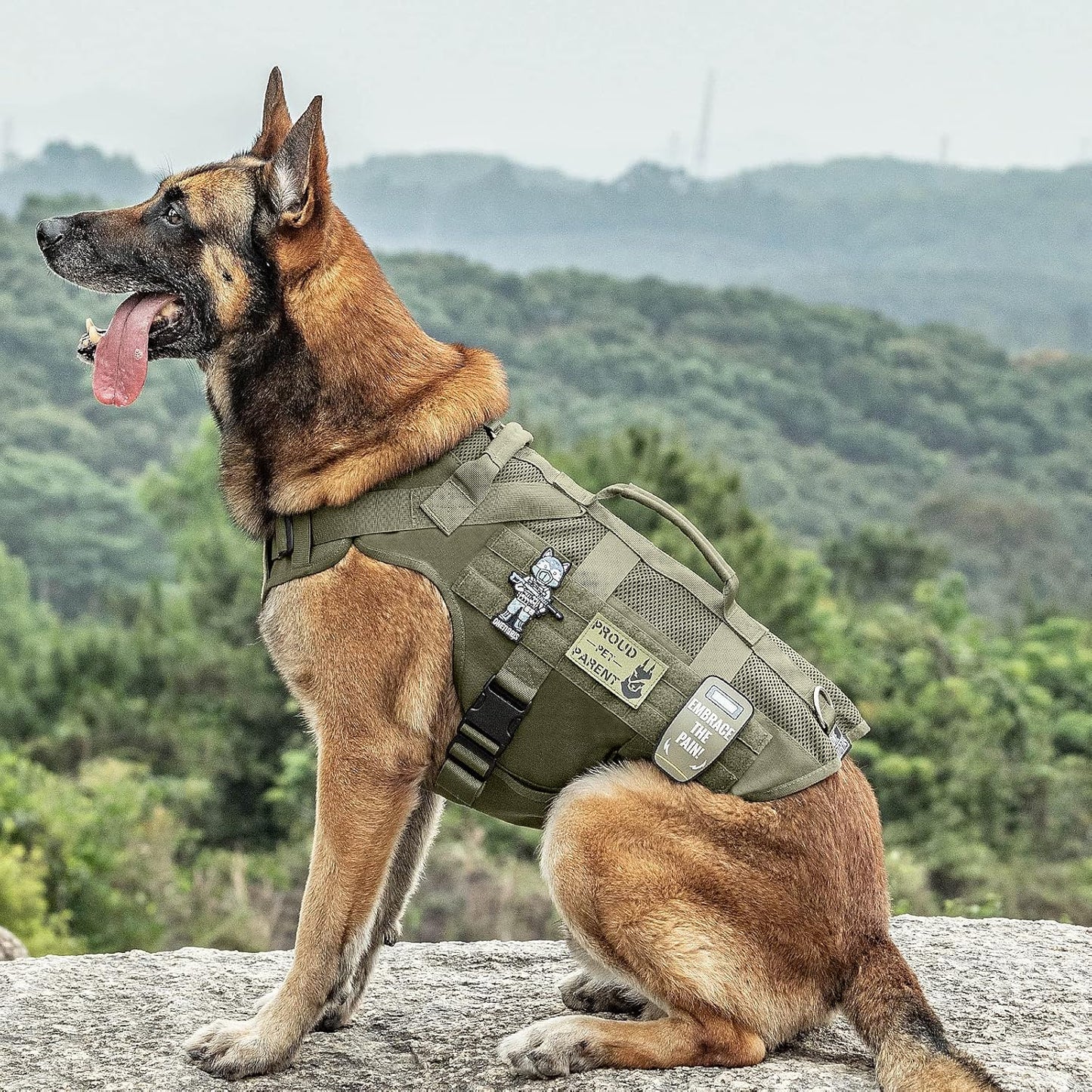 OneTigris Tactical Dog Harness – No Pull Military-Style Vest with Handle (Green, XS–XL)