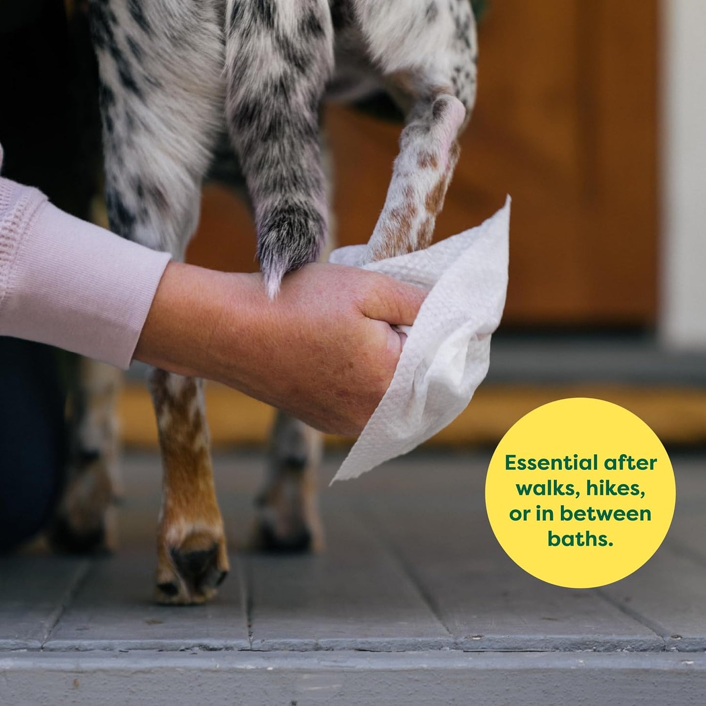 Eco-Friendly Lavender Dog Wipes – Hypoallergenic Grooming & Paw Care (100 Count)